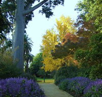 Albury Botanic Garden - Accommodation Whitsundays