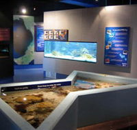 Marine and Freshwater Discovery Centre - Accommodation Whitsundays