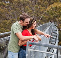Valley of the Giants Tree Top Walk - Accommodation Whitsundays
