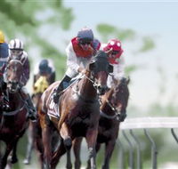 Colac Turf Club - Accommodation Whitsundays