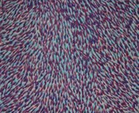 Accommodation Whitsundays