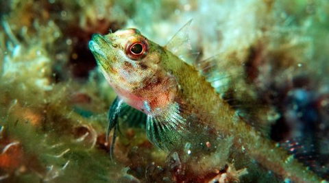 Busselton Jetty & Underwater Observatory Tour - Accommodation Whitsundays 7