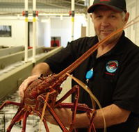 Lobster Shack - Accommodation Whitsundays
