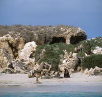 Jurien Bay Marine Park - Accommodation Whitsundays