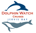 Dolphin Watch Cruises - Accommodation Whitsundays 2