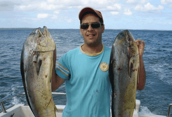 Jervis Bay Fishing and Charters - Accommodation Whitsundays