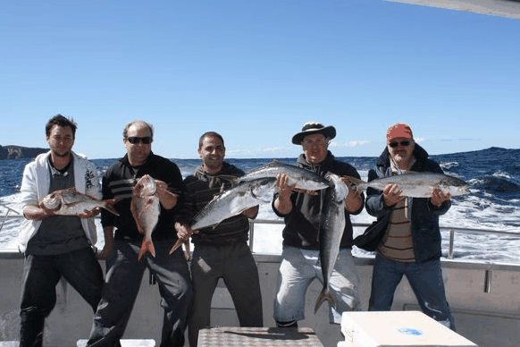 Jervis Bay Fishing And Charters - Accommodation Whitsundays 2