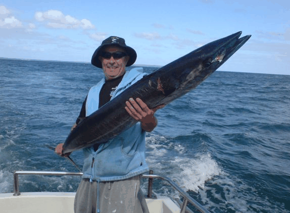 Jervis Bay Fishing And Charters - Accommodation Whitsundays 4