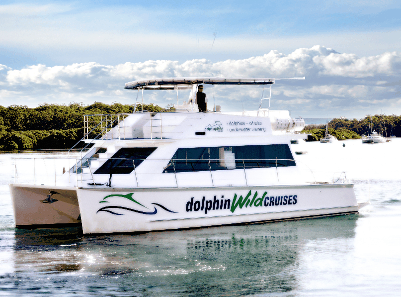Dolphin Wild Cruises - Accommodation Whitsundays 2