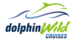 Dolphin Wild Cruises - Accommodation Whitsundays 4