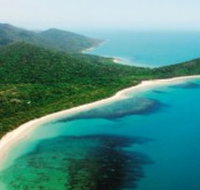 Jungle Tours and Trekking - Accommodation Whitsundays