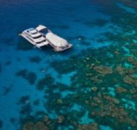 Great Adventures Reef and Green Island Cruises - Accommodation Whitsundays