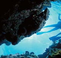 Deep Sea Divers Den - Accommodation Whitsundays