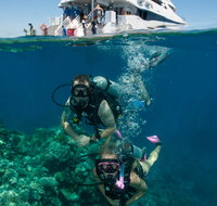 Down Under Cruise and Dive - Accommodation Whitsundays