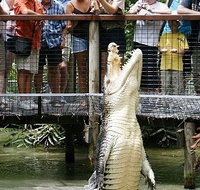 Hartley's Crocodile Adventures - Accommodation Whitsundays
