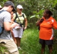 Ingan Tours - Spirit of the Rainforest Tour - Accommodation Whitsundays
