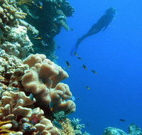 Reef Magic Cruises - Accommodation Whitsundays