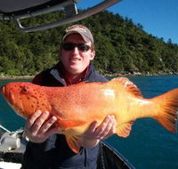Gone Fishing by Coral Sea Fishing Charters Airlie Beach - Accommodation Whitsundays