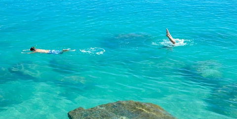 Salty Dog Sea Kayaking - Accommodation Whitsundays 1