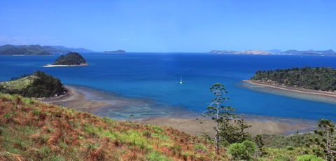 Salty Dog Sea Kayaking - Accommodation Whitsundays 5