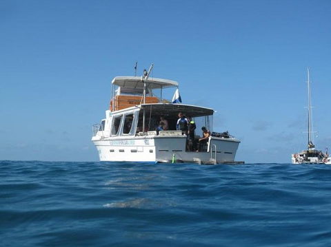 Mantaray Charters - Accommodation Whitsundays 3