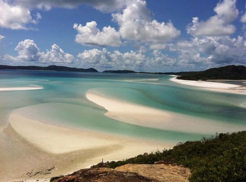 Mantaray Charters - Accommodation Whitsundays 5