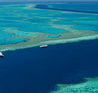 Cruise Whitsundays - Accommodation Whitsundays