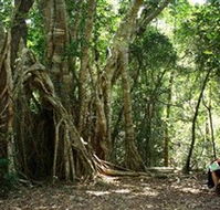 The Airlie Creek Track - Accommodation Whitsundays