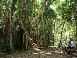 The Airlie Creek Track - Accommodation Whitsundays 0