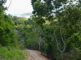 The Airlie Creek Track - Accommodation Whitsundays 1