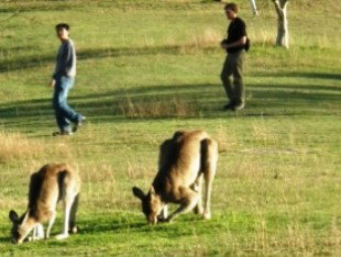 Southern Queensland Country QLD Accommodation Whitsundays