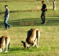 Araucaria Ecotours - Accommodation Whitsundays