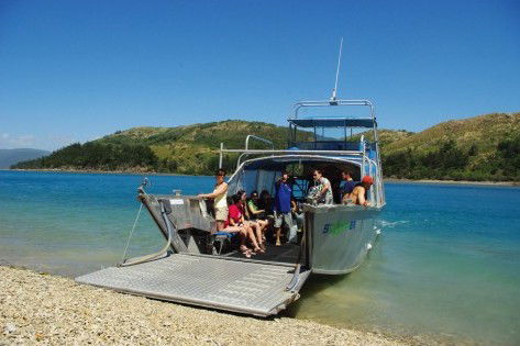 Scamper - Whitsunday Island Camping Connection - Accommodation Whitsundays 0