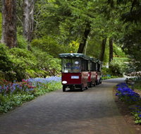 Araluen Botanic Park - Accommodation Whitsundays