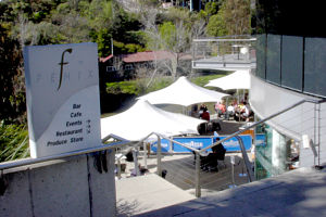 Fenix - Accommodation Whitsundays 0