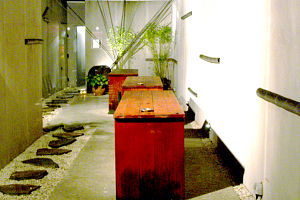 Koi - Accommodation Whitsundays 0