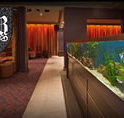 AB Hotel - Accommodation Whitsundays