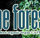 Forest Cafe  Bar - Accommodation Whitsundays