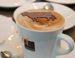 Brown Cow - Accommodation Whitsundays 0