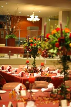 Forest Inn Hotel - Accommodation Whitsundays 0