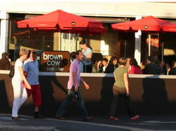 Brown Cow - Accommodation Whitsundays 1