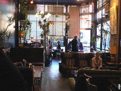 Blackcat - Accommodation Whitsundays 1