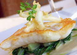 Rat N Parrot British Pub - Accommodation Whitsundays 1