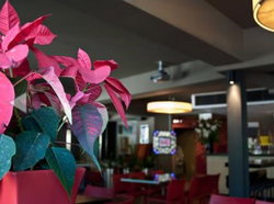 The Buckland Hotel - Accommodation Whitsundays 1