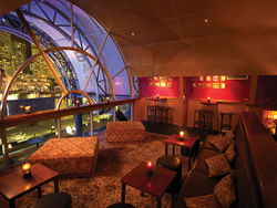 Cohibar - Accommodation Whitsundays 1