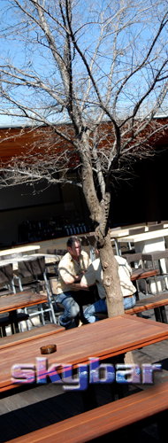 Alma Tavern - Accommodation Whitsundays 2