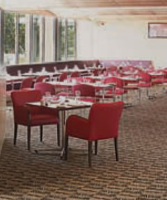 Victoria Hotel - Accommodation Whitsundays 2