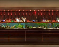 AB Hotel - Accommodation Whitsundays 2