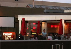 Brown Cow - Accommodation Whitsundays 2