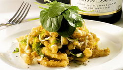 Blue Gum Hotel - Accommodation Whitsundays 1